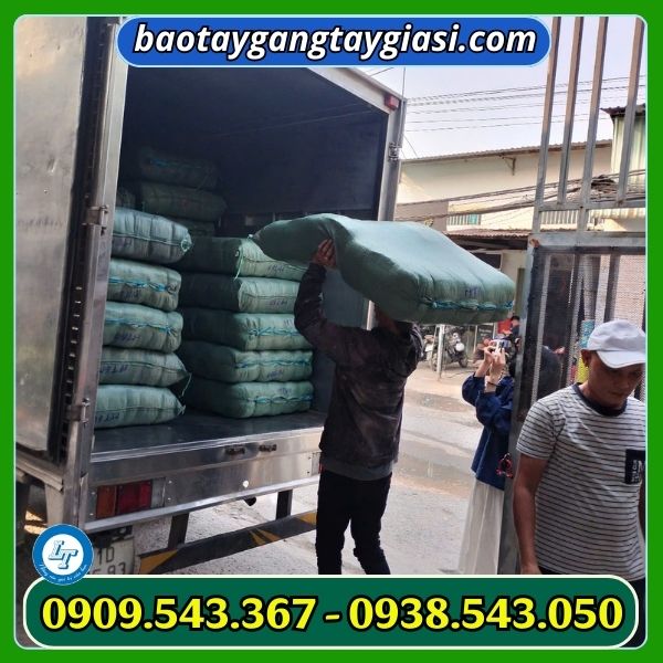 Giao găng tay cho khách Giao găng tay cho khách