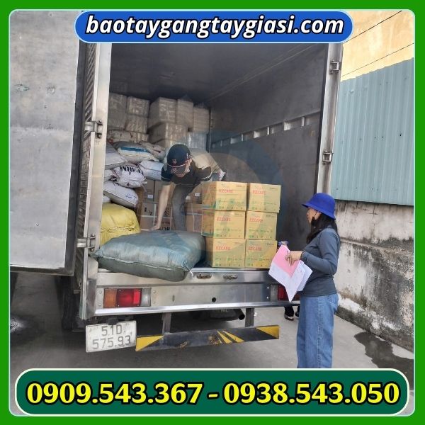 Giao găng tay y tế cho khách Giao găng tay y tế cho khách