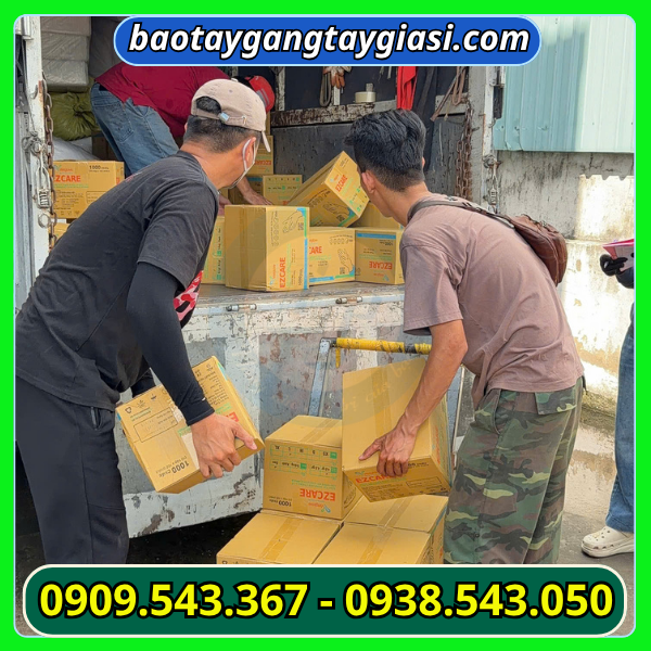 Giao Găng tay y tế Vietglove EZCARE cho đại lý Găng tay y tế Vietglove EZCARE