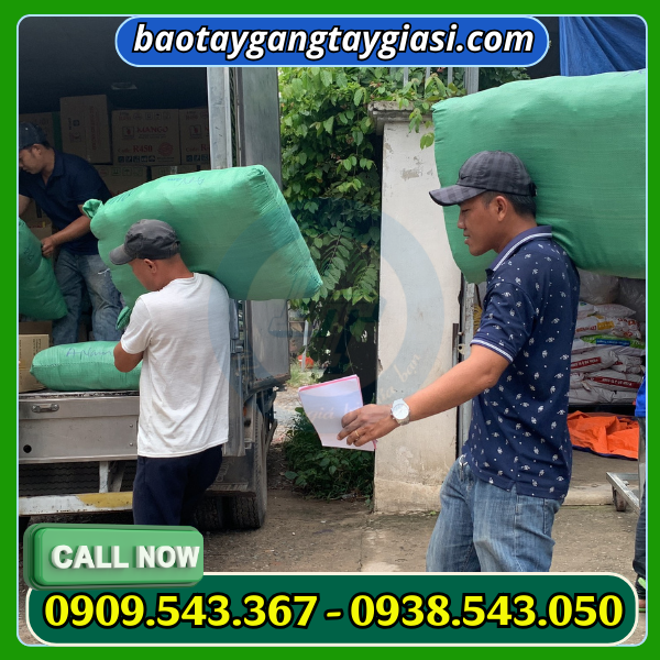 Kho cung cấp găng tay giá rẻ giao hàng nhanh Kho cung cấp găng tay giá rẻ