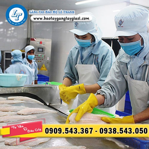 Găng tay cao su chế biến thủy sản Găng tay cao su chế biến thủy sản