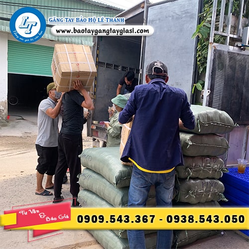 Găng tay cao su giá rẻ giao hàng tận nơi Găng tay cao su giá rẻ giao hàng tận nơi