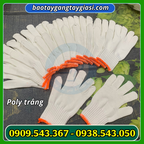 Găng tay sợi poly Găng tay sợi poly