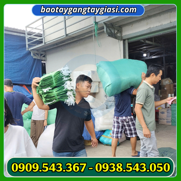 Xưởng găng tay giá rẻ Xưởng găng tay giá rẻ