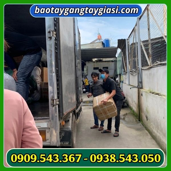 Giao hàng găng tay cao su Giao hàng găng tay cao su