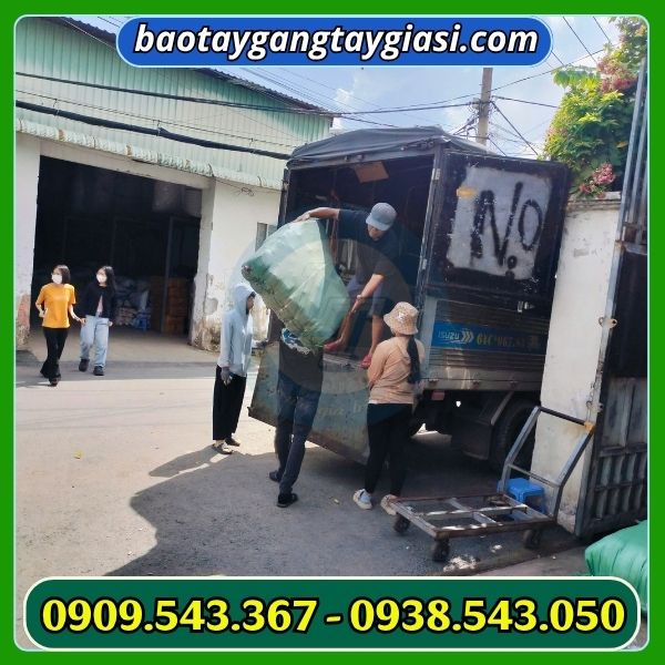 Giao hàng găng tay len cho đại lý Găng tay len phủ cao su