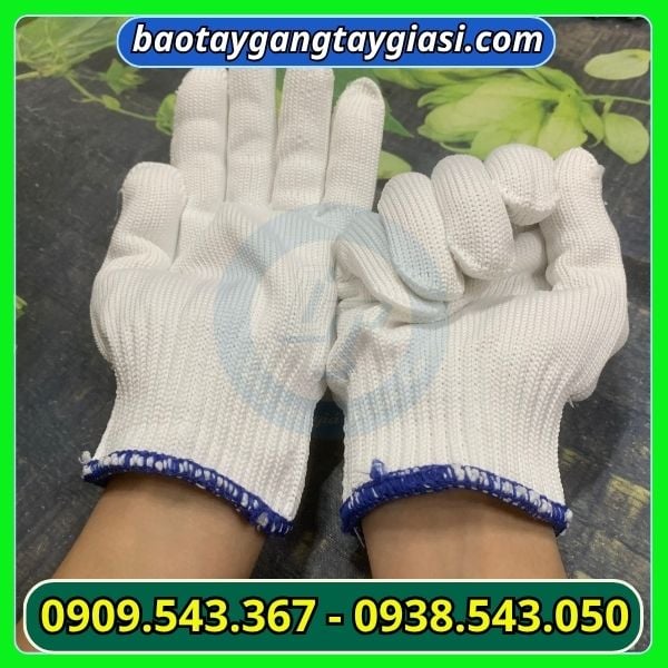 Găng tay poly 50g Găng tay poly 50g