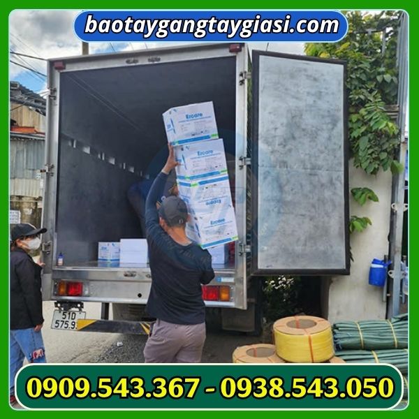 Găng tay y tế vglove latex không bột giao hàng Găng tay y tế vglove latex không bột