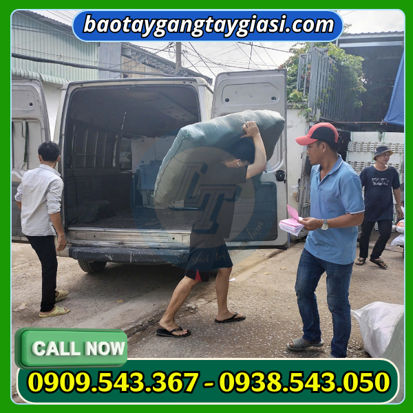 Kho hàng găng tay Lê Thanh Kho hàng găng tay Lê Thanh