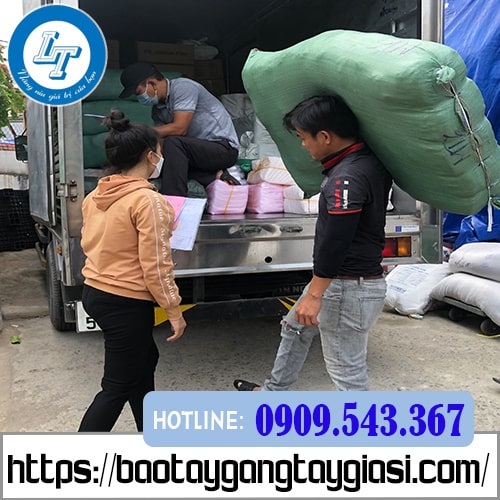 Bán số lượng lớn bao tay len kem