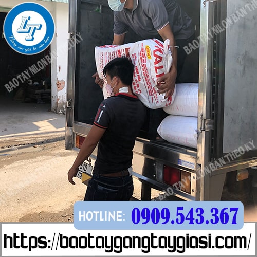 Bao tay nilon dùng nấu ăn giá rẻ