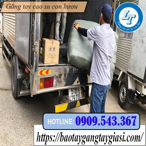 Chuyên bỏ sỉ găng tay cao su con hươu giá rẻ