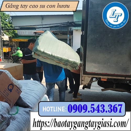 Chuyên bỏ sỉ găng tay cao su rửa chén con hươu