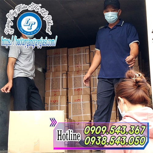 Găng tay cao su Đông Cầu Vồng giao số lượng lớn cho khách sỉ