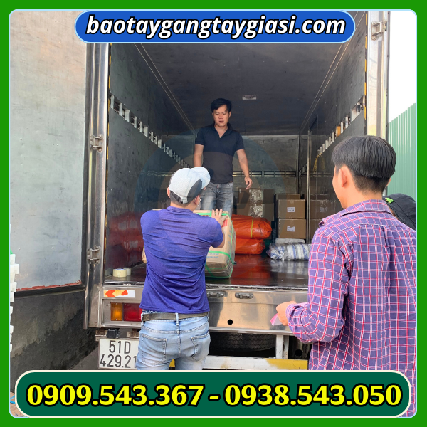 Giao găng tay cho khách Giao găng tay cho khách