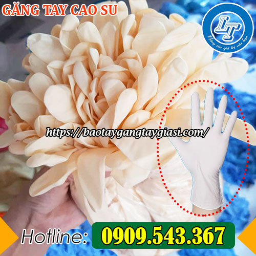 găng tay cao su ôm sát đôi tay người dùng găng tay cao su ôm sát đôi tay người dùng