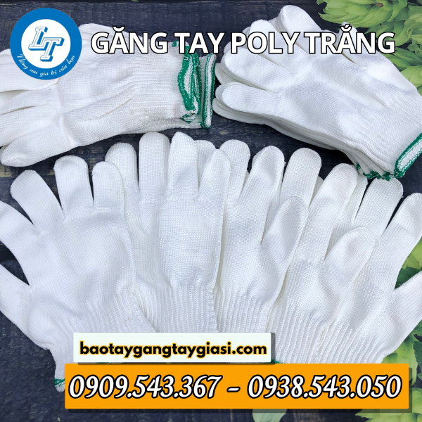 Găng tay poly trắng