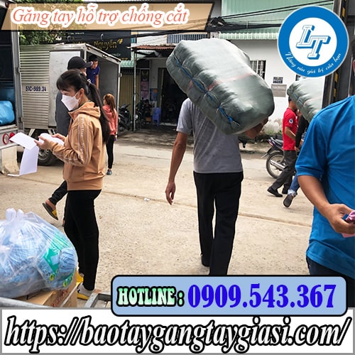 Găng tay hỗ trợ chống cắt mua ở đâu