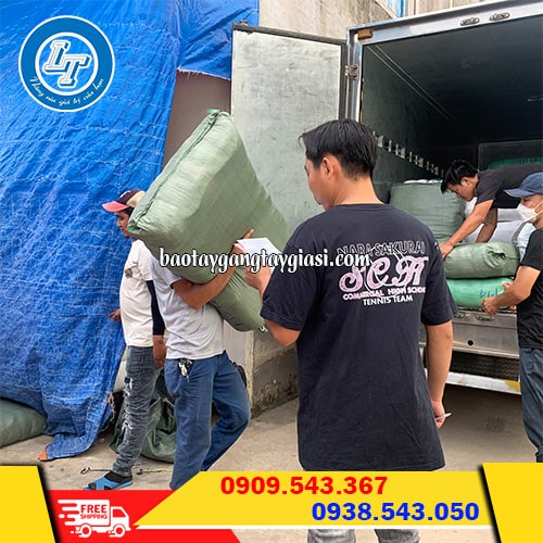 Găng tay len hạt nhựa nguồn hàng ổn định giao nhanh đúng hẹn Găng tay len hạt nhựa nguồn hàng ổn định giao nhanh đúng hẹn