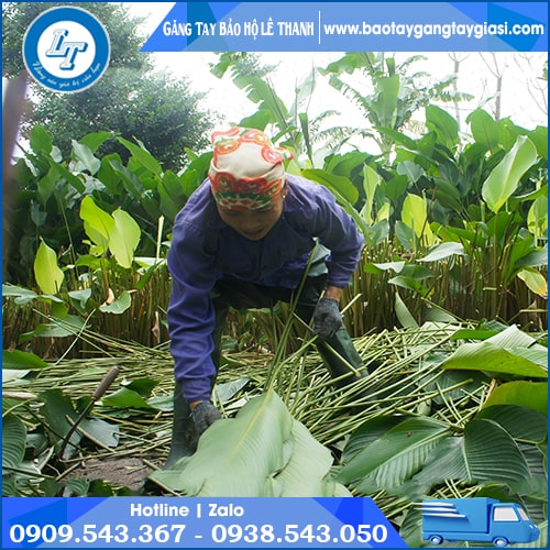 Găng tay len muối tiêu làm vườn thu hái nông sản