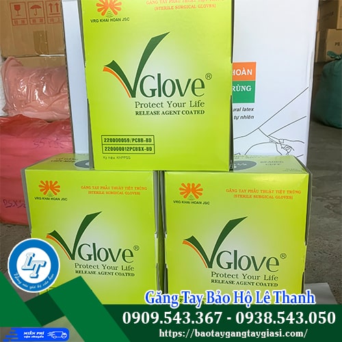 Găng tay phẫu thuật tiệt trùng Vglove giá sỉ tốt Găng tay phẫu thuật tiệt trùng Vglove giá sỉ tốt