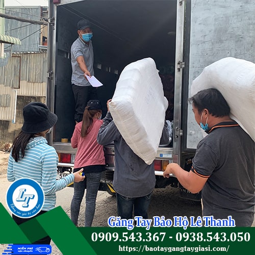 Găng tay poly giao nhanh