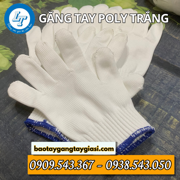 Găng tay poly trắng