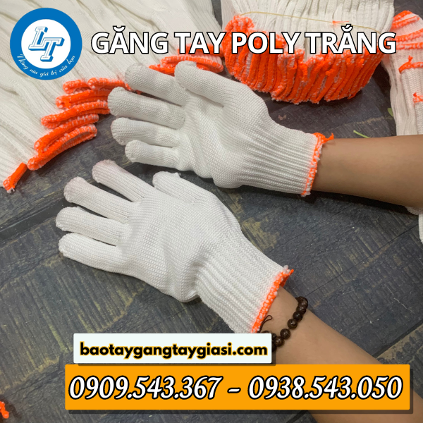 Găng tay poly trắng Găng tay poly trắng