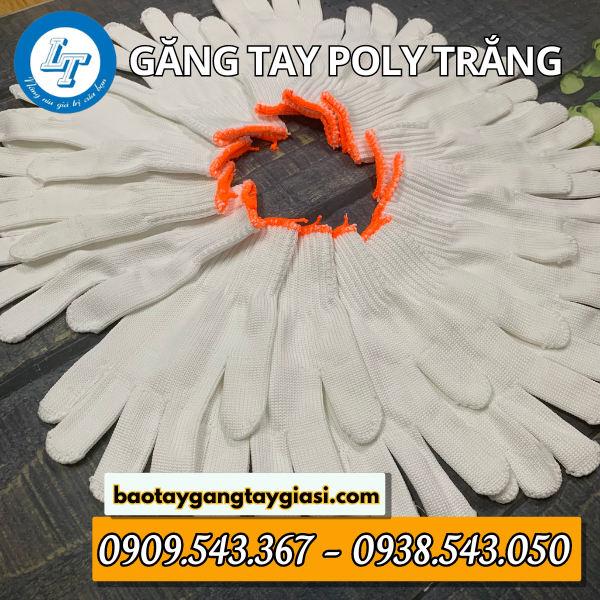 Găng tay poly trắng Găng tay poly trắng