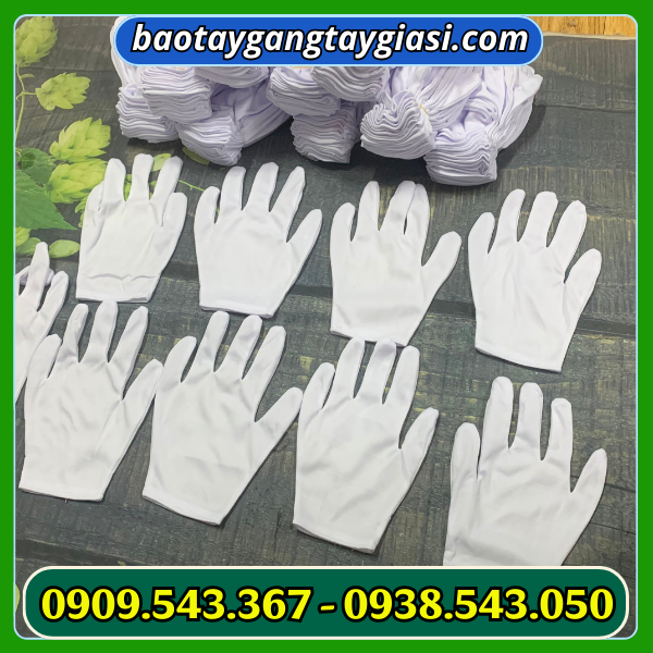 Găng tay thun T8+1 Găng tay thun T8+1