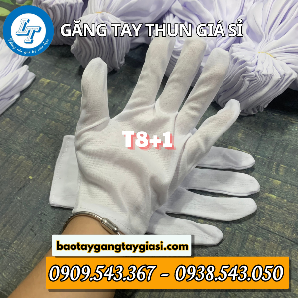 Găng tay vải thun trắng T8+1 Găng tay vải thun trắng T8+1