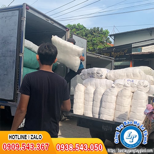 Găng tay thời trang poly giá rẻ giao hàng toàn quốc Găng tay thời trang poly giá rẻ giao hàng toàn quốc
