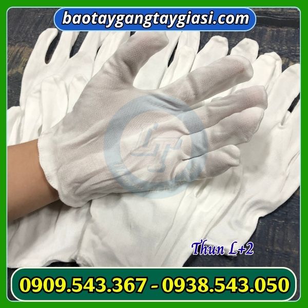 Găng tay thun trắng Găng tay thun trắng