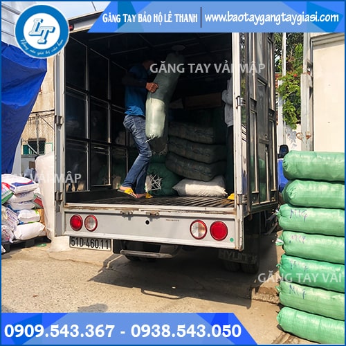 Găng tay vải mập giao nhanh