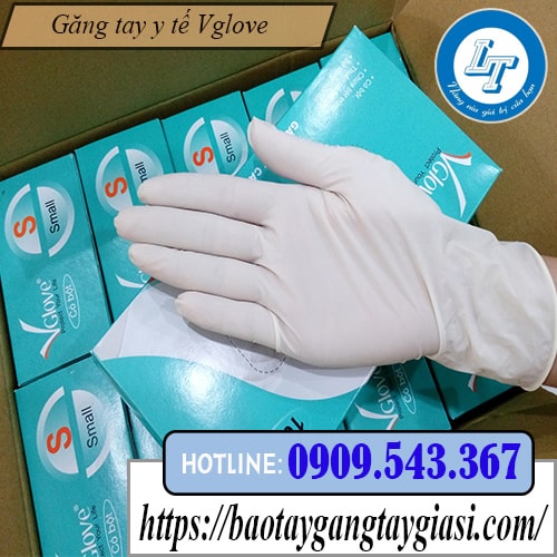 Găng tay vglove Găng tay vglove