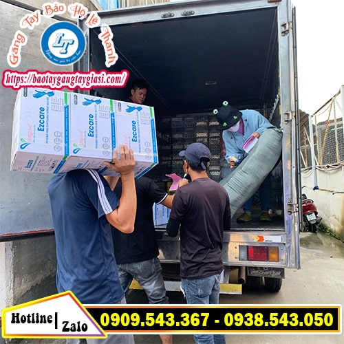 Găng tay vinyl giao hàng toàn quốc