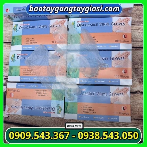 Găng tay vinyl trong suốt hộp 100 cái Găng tay vinyl trong suốt