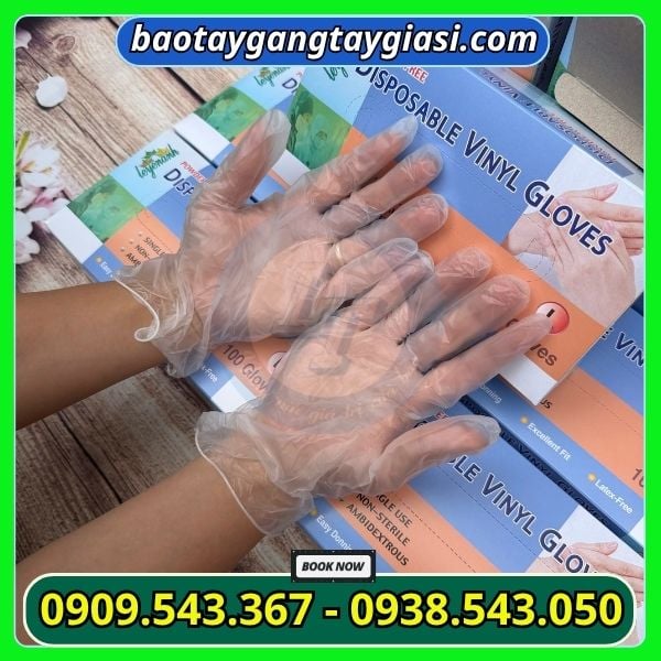 Găng tay vinyl trong suốt chất lượng Găng tay vinyl trong suốt