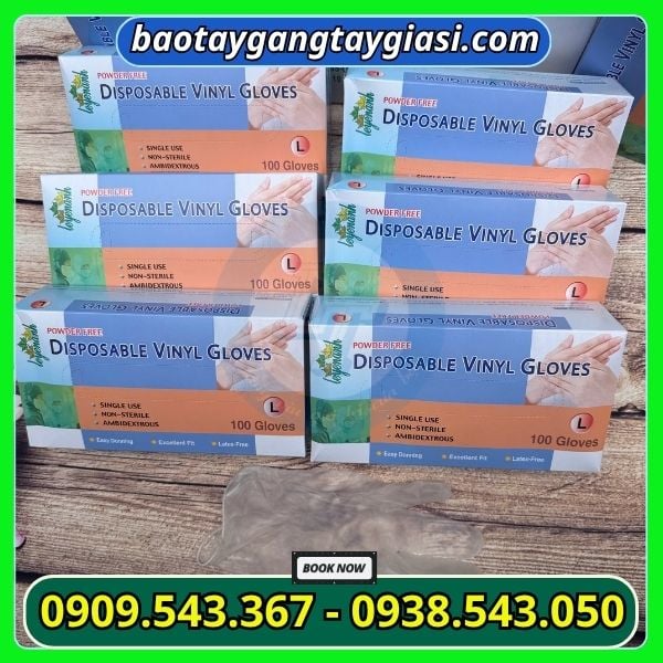 Găng tay vinyl trong suốt Găng tay vinyl trong suốt