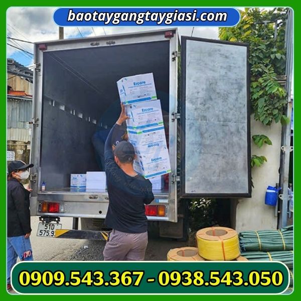 Găng tay y tế giao hàng nhanh chóng Găng tay y tế giao hàng nhanh chóng