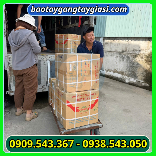 Giao găng tay cao su hợp thành cho khách Găng tay cao su hợp thành size M