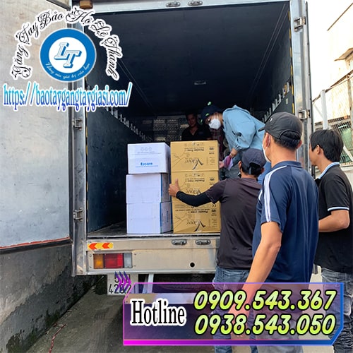 Giao găng tay y tế không bột tại TPHCM