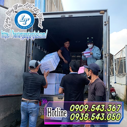 Giao găng tay y tế không bột