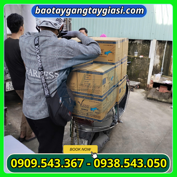 Găng tay y tế Vglove chất lượng Găng tay y tế Vglove chất lượng
