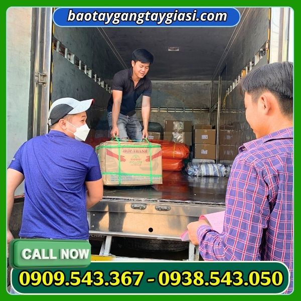 Giao hàng găng tay cao su hơp thành Giao hàng găng tay cao su hơp thành