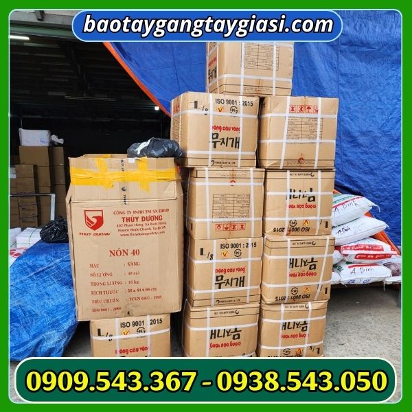 Kho sỉ găng tay cao su Kho sỉ găng tay cao su