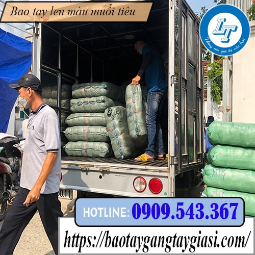 Mua sỉ bao tay muối tiêu chất lượng