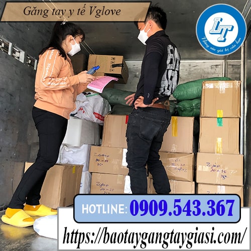 Phân phối găng tay vglove giá siêu tốt Phân phối găng tay vglove giá siêu tốt