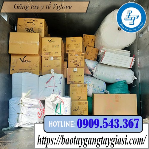 Phân phối găng tay y tế vglove giá tốt
