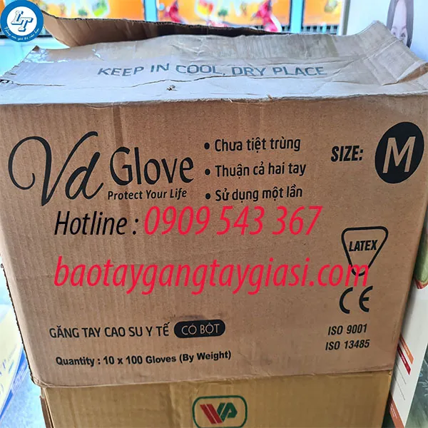 GĂNG TAY Y TẾ VD GLOVE CÓ BỘT
